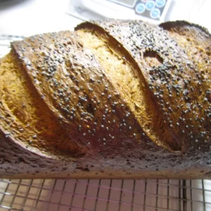 Swedish Rye Sourdough Starter