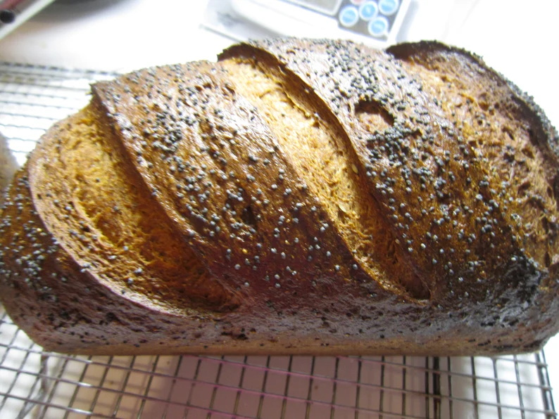 Swedish Rye Sourdough Starter
